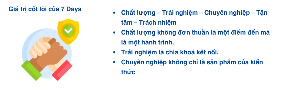 thiết kế 7 days